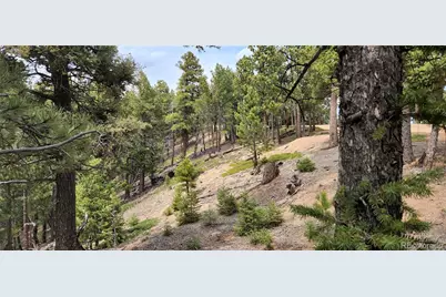 13985 Boulder Lane, Larkspur, CO 80118 - Photo 6