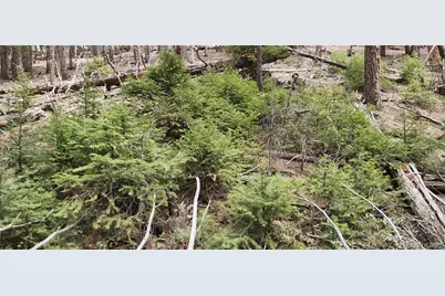 13985 Boulder Lane, Larkspur, CO 80118 - Photo 20