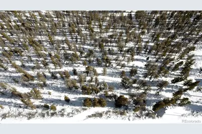 1396 Middle Fork Vista, Fairplay, CO 80440 - Photo 8