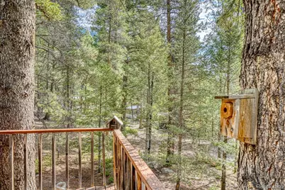 22297 County Road 292D, Nathrop, CO 81236 - Photo 44