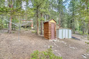 22297 Co Rd 292D, Nathrop, CO 81236 - Photo 38