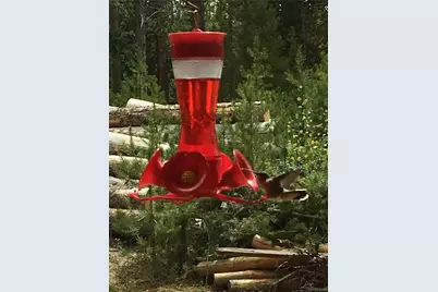 99 Gcr 490, Grand Lake, CO 80447 - Photo 28