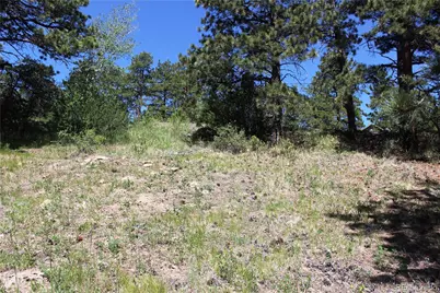 11702 Overlook Drive, Golden, CO 80403 - Photo 10