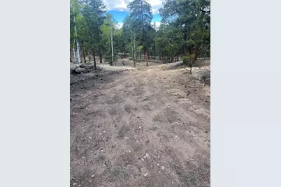 185 Sioux Trail, Westcliffe, CO 81252 - Photo 2