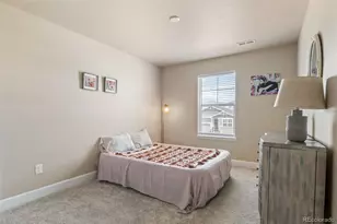 3888 Red Valley Ln, Castle Rock, CO 80104 - Photo 32