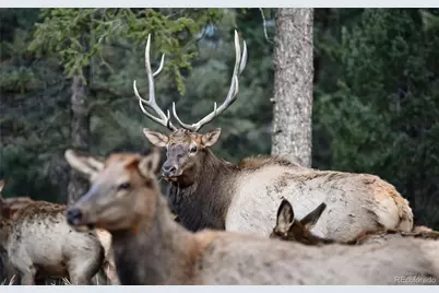 48 Allen Circle, Pine, CO 80470 - Photo 46