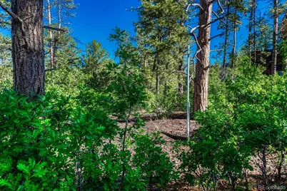 1205 Wildcat Bend Court, Castle Rock, CO 80108 - Photo 6