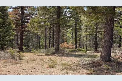 Lot 5825 Covington Road, Fort Garland, CO 81133 - Photo 2