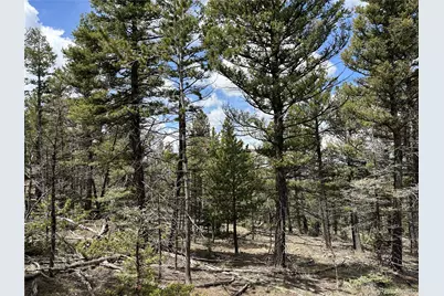 Lot 5825 Covington Road, Fort Garland, CO 81133 - Photo 20