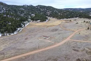 966 Co Rd 411, Florissant, CO 80816 - Photo 44