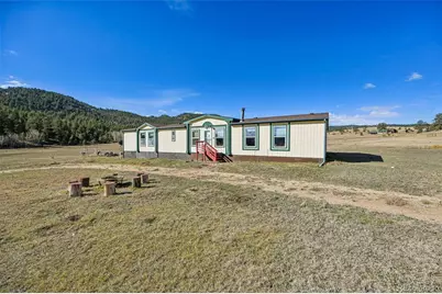 966 County Road 411, Florissant, CO 80816 - Photo 1