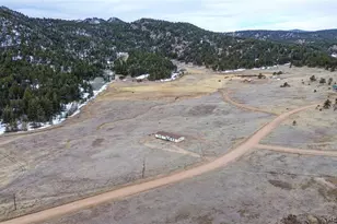 966 Co Rd 411, Florissant, CO 80816 - Photo 38