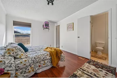 966 County Road 411, Florissant, CO 80816 - Photo 32