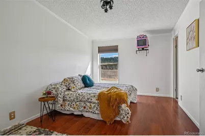 966 County Road 411, Florissant, CO 80816 - Photo 28