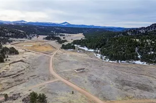 966 Co Rd 411, Florissant, CO 80816 - Photo 40