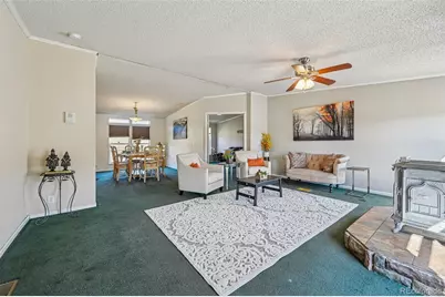 966 County Road 411, Florissant, CO 80816 - Photo 4