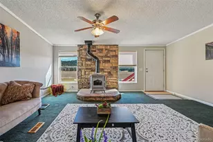 966 Co Rd 411, Florissant, CO 80816 - Photo 6