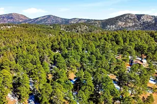 8220 Iowa Gulch Rd, Morrison, CO 80465 - Photo 48