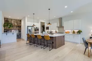 6025 Beeler St, Denver, CO 80238 - Photo 10