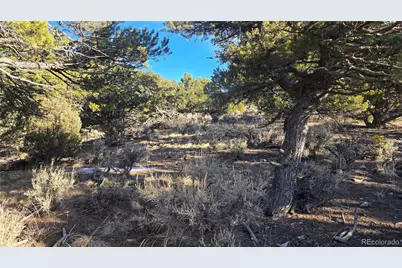 Lot 4582 Laidlaw Road, Fort Garland, CO 81133 - Photo 10