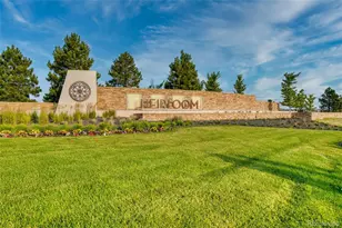 14524 Hagus Pl, Parker, CO 80134 - Photo 38