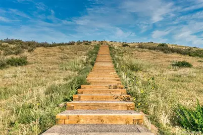 14524 Hagus Place, Parker, CO 80134 - Photo 46