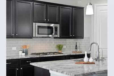 6695 Petunia Place, Castle Rock, CO 80108 - Photo 6