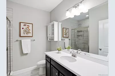 6695 Petunia Place, Castle Rock, CO 80108 - Photo 36