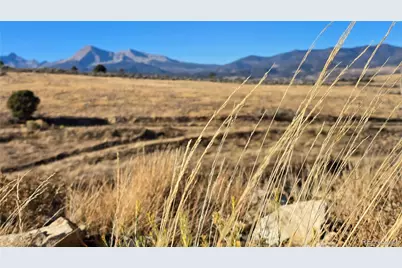 7741 Van Giesen Road, Fort Garland, CO 81133 - Photo 4