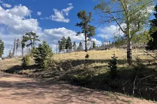 448 Wagon Mesa Loop, Fort Garland, CO 81133 - Photo 1