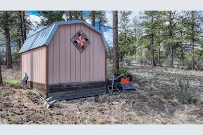 13353 County Road 261 J, Nathrop, CO 81236 - Photo 48