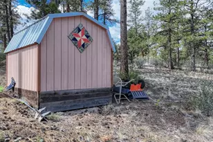 13353 County Road 261 J, Nathrop, CO 81236 - Photo 48