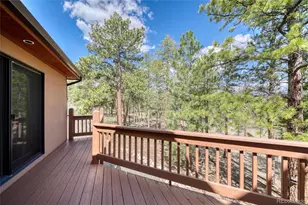 13353 County Road 261 J, Nathrop, CO 81236 - Photo 14