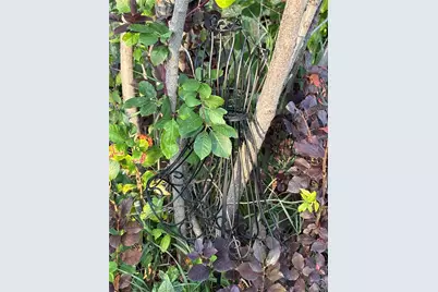 42400 County Road 13, Parker, CO 80138 - Photo 50