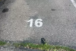 1024 E 14th Ave, Denver, CO 80218 - Photo 8