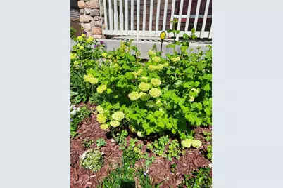 3812 S Malaya Court, Aurora, CO 80013 - Photo 40