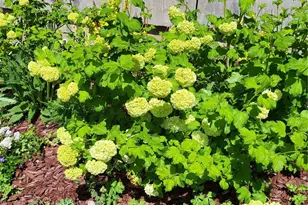 3812 S Malaya Ct, Aurora, CO 80013 - Photo 40