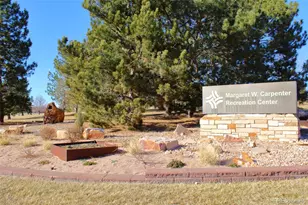 10381 Cook Way, Thornton, CO 80229 - Photo 34