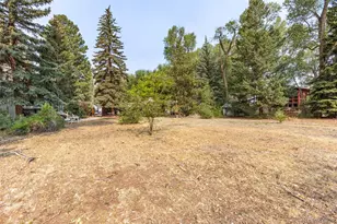 408 Princeton Ave, Buena Vista, CO 81211 - Photo 42