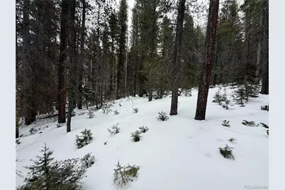 Lot 2805 Moir Drive, Fort Garland, CO 81133 - Photo 4