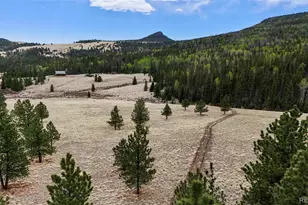 10801 County Road M-32, Del Norte, CO 81132 - Photo 46