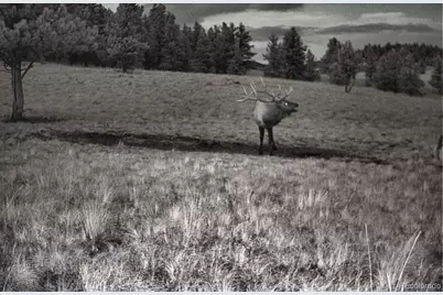 10801 County Road M-32, Del Norte, CO 81132 - Photo 40