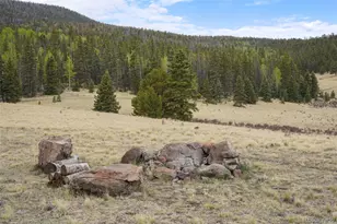 10801 County Road M-32, Del Norte, CO 81132 - Photo 28