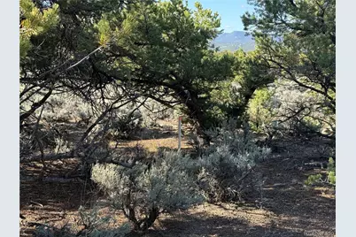 Lot 7067 Waligunda Road, Fort Garland, CO 81133 - Photo 4