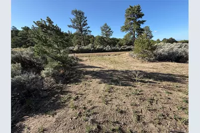 Lot 7067 Waligunda Road, Fort Garland, CO 81133 - Photo 8
