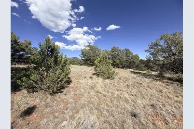 000 Schulze Ranch Rd, Westcliffe, CO 81252 - Photo 24