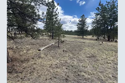 97 Chap Way, Hartsel, CO 80449 - Photo 14