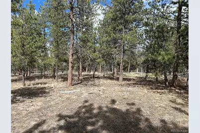 97 Chap Way, Hartsel, CO 80449 - Photo 2