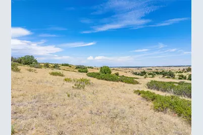 8755 Lost Lake Drive, Franktown, CO 80116 - Photo 4