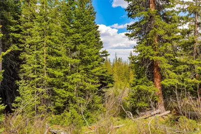 632 El Lobo Lane, Fairplay, CO 80440 - Photo 10